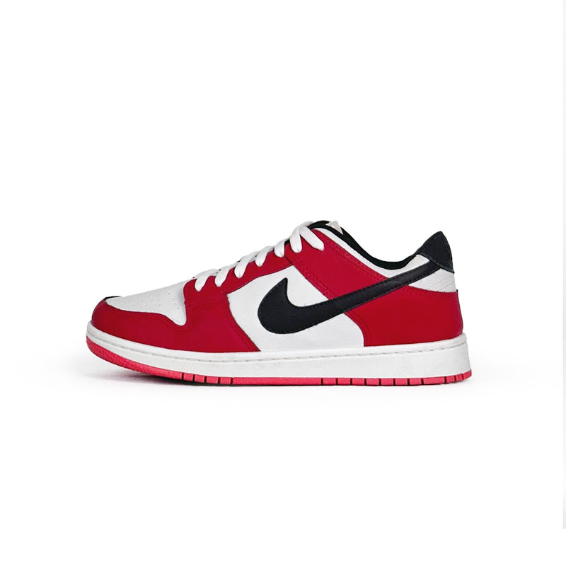 Dunk Low Pro Chicago.